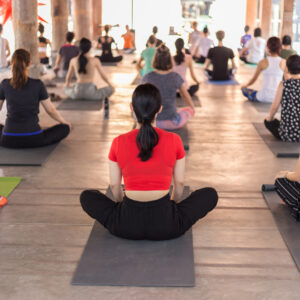 meinYogakurs - Hatha Yoga als Kompaktkurs